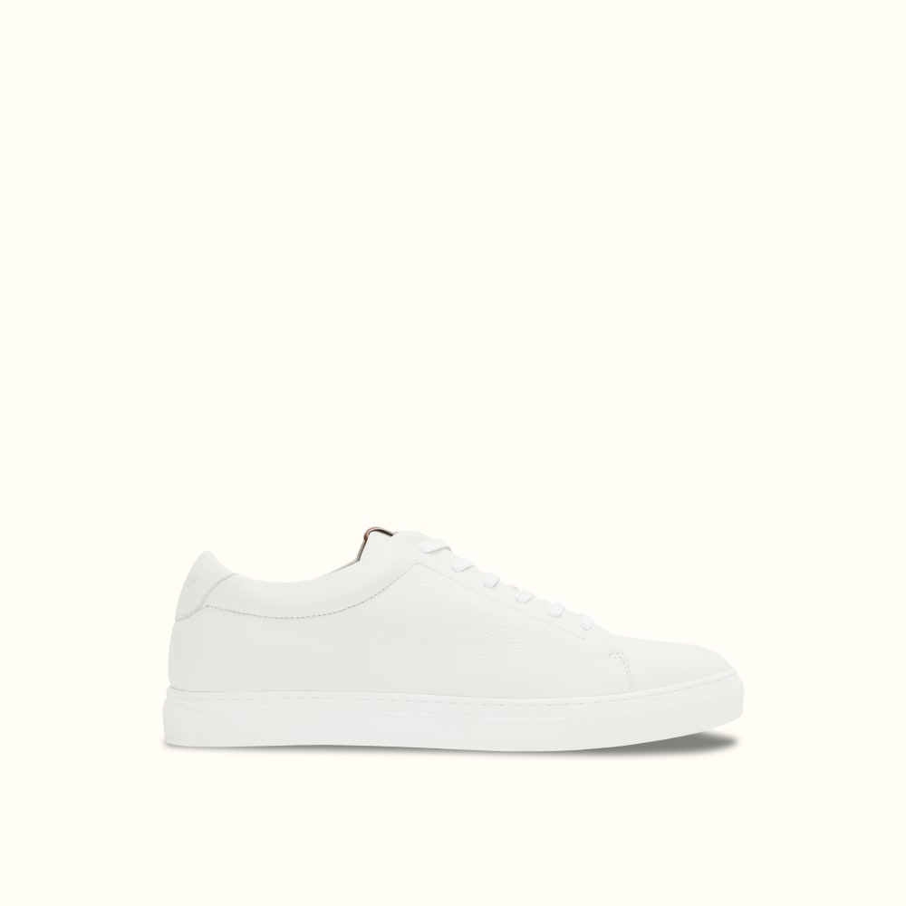 Lacoste sneakers top david jones