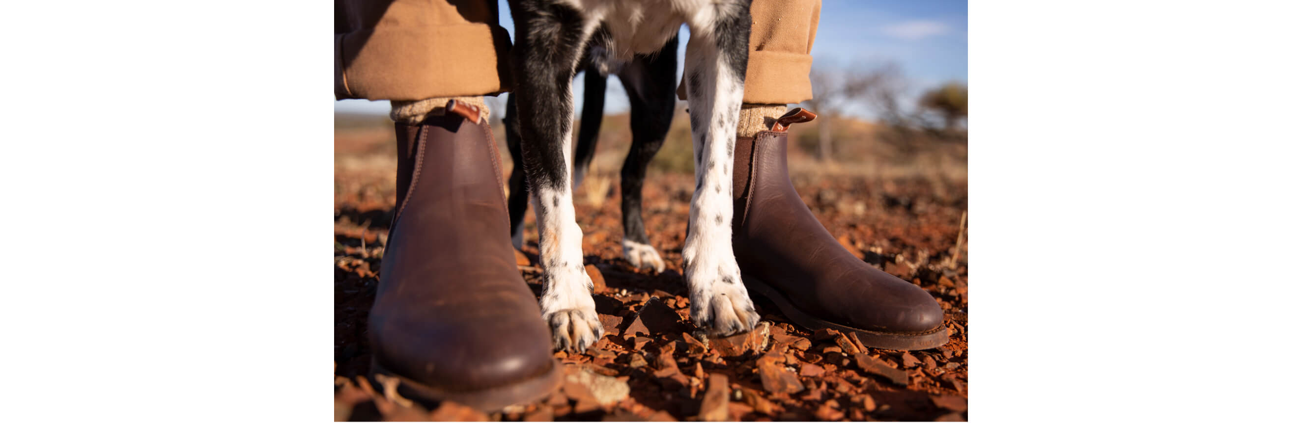 R.M.Williams - The Gardener Boot is a workhorse. A really