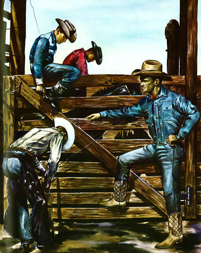 rodeo illustration