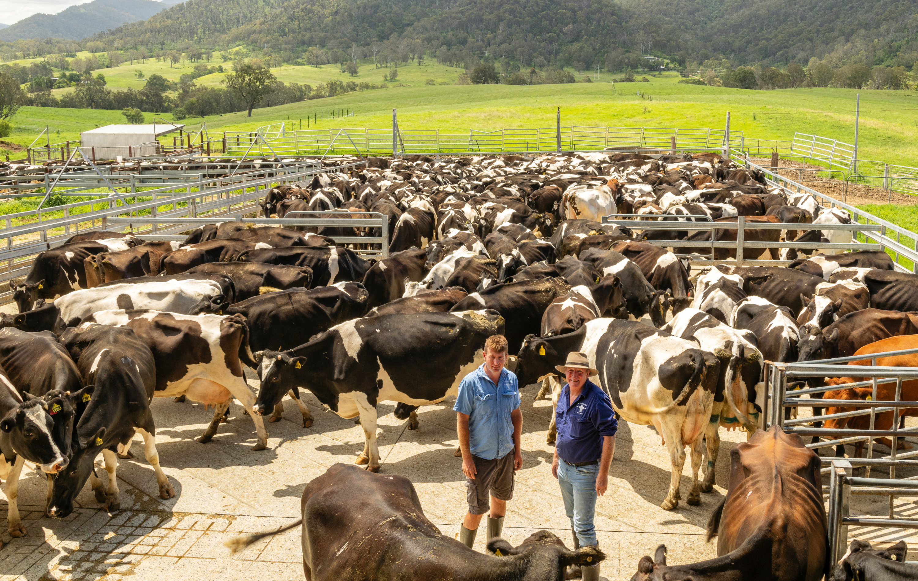 Andrew now runs the dairy, but Barry is always keen to lend a hand.
