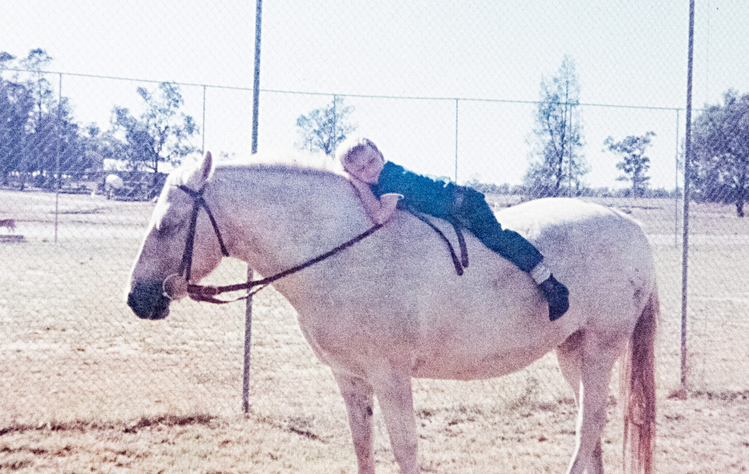 Murray, aged 5, on Zoey at the family property Candelar near Milguy