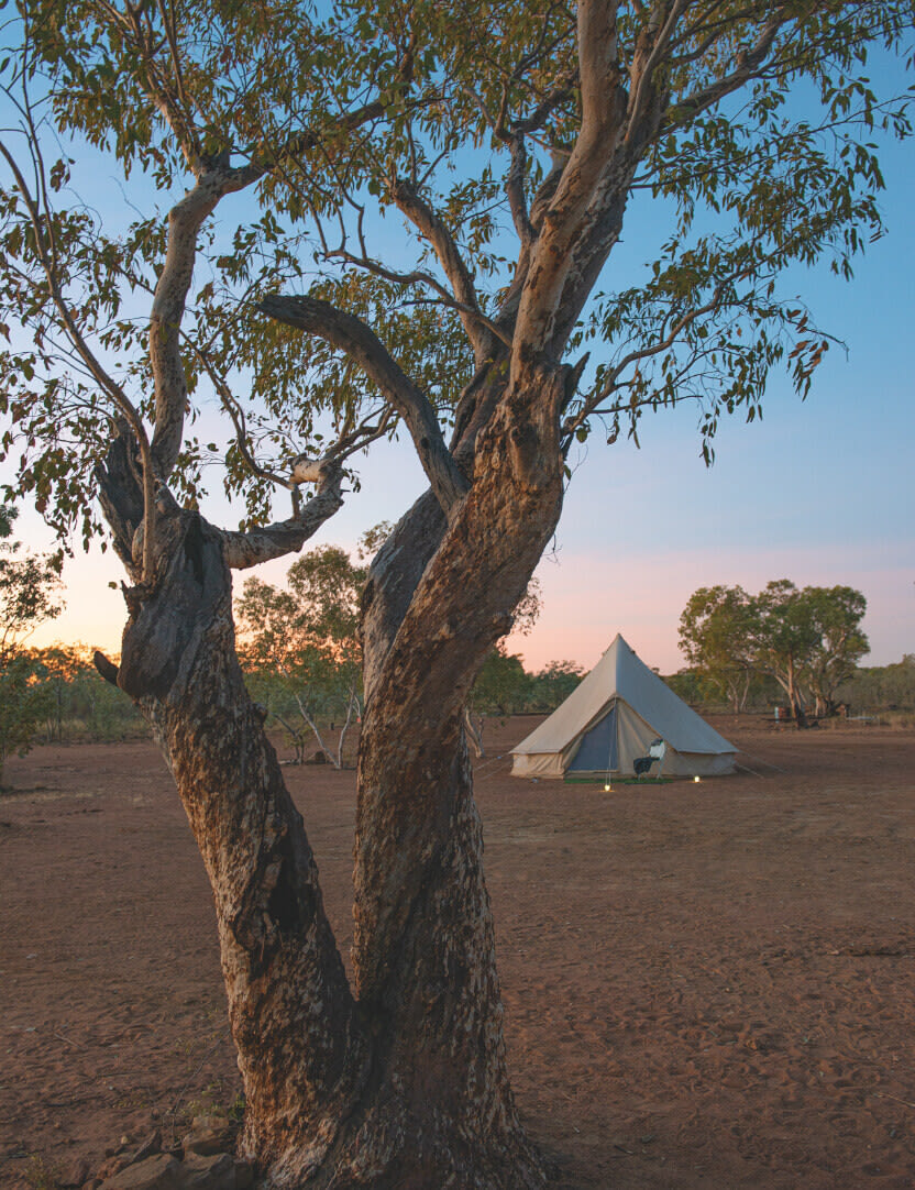 Outback friends