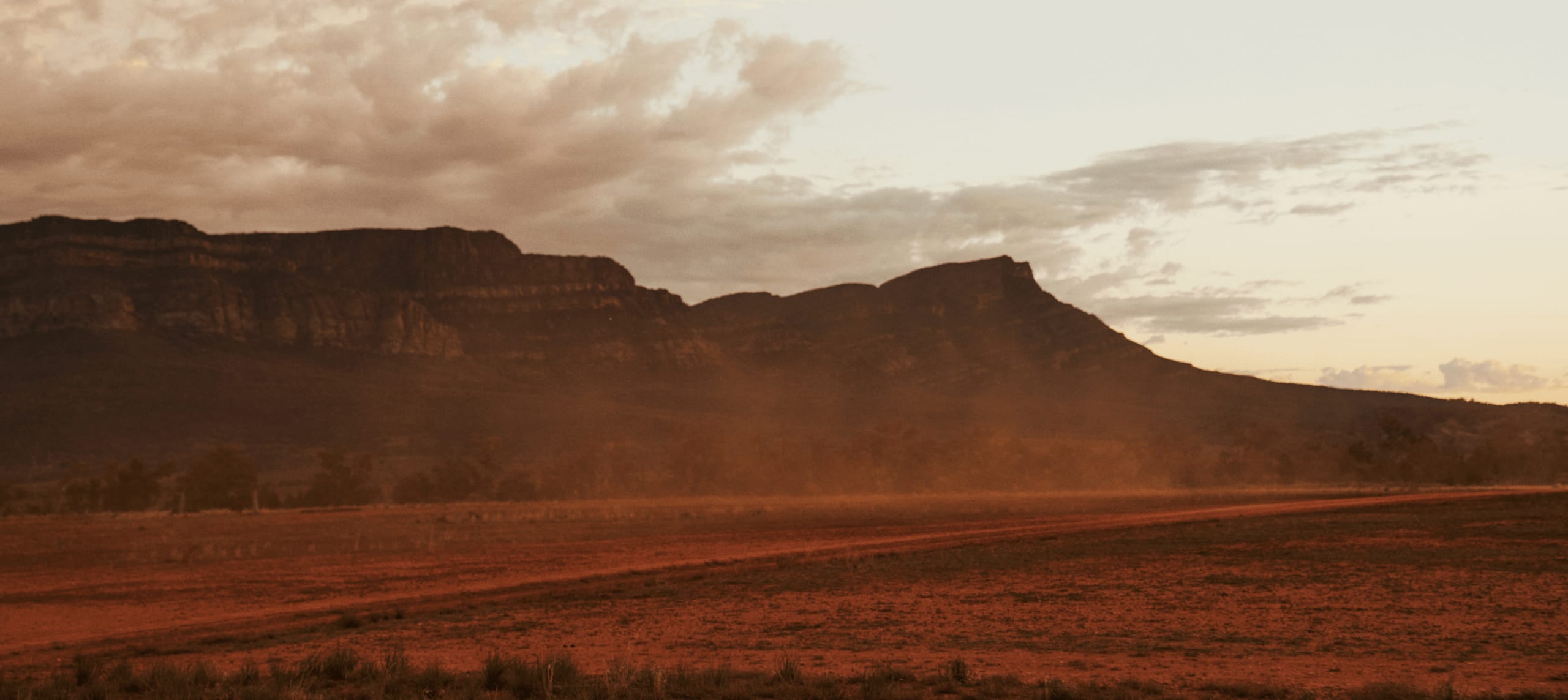 A South Australian homecoming