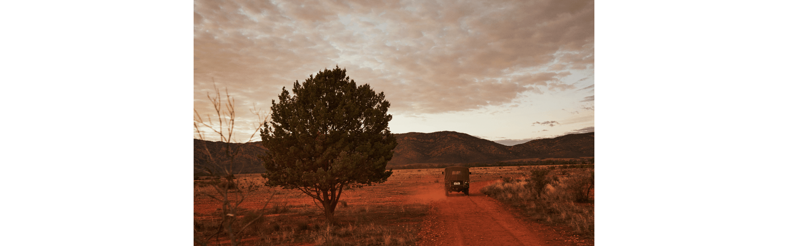 A South Australian homecoming