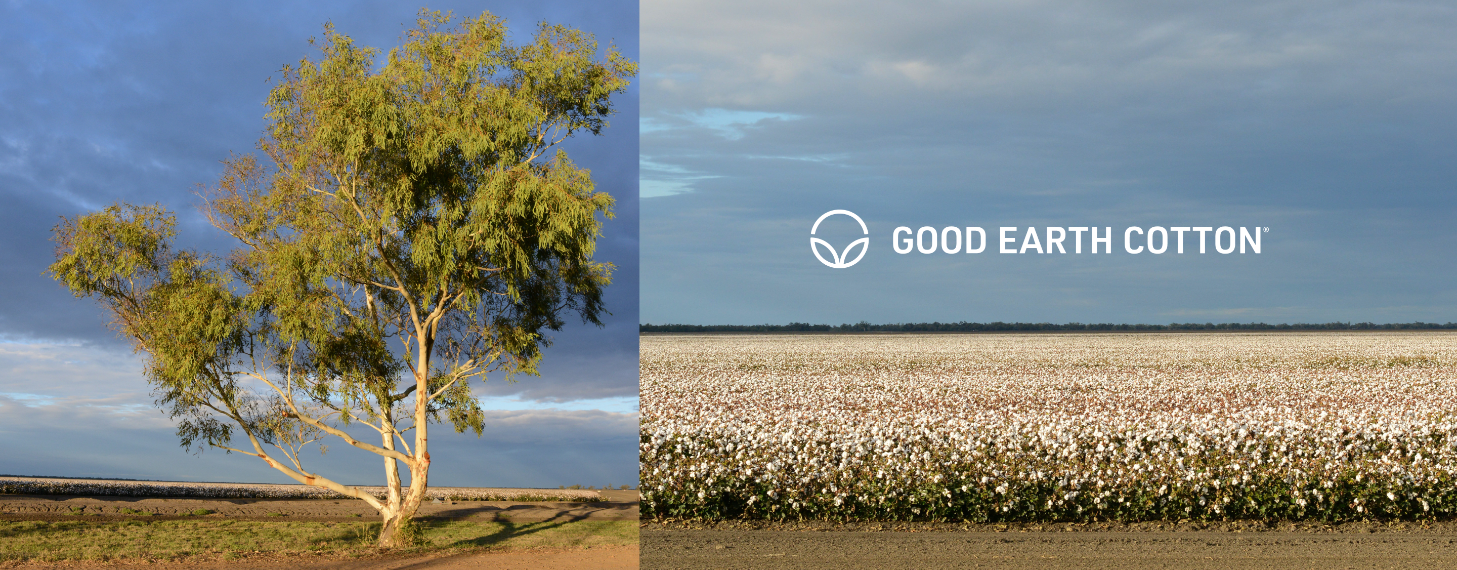 Sourcing the good earth