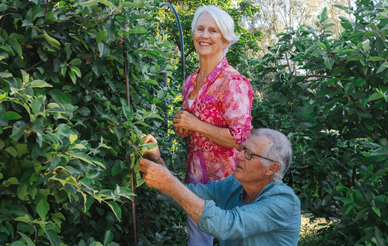 A walk in the food forest