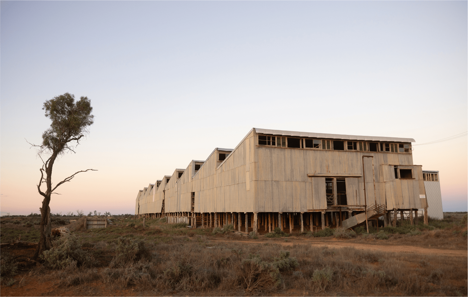  The saw-toothed Nulla Shed in south-western NSW.  OPPOSITE: The Deepwater shed on Bulls Run near Wagga Wagga, NSW,  has drippers running water down perforated windward-facing steel screens to aid cooling for staff and sheep. 