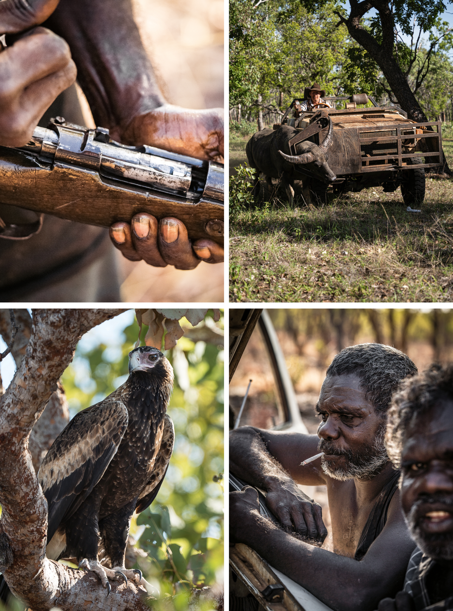 Shots from the top end