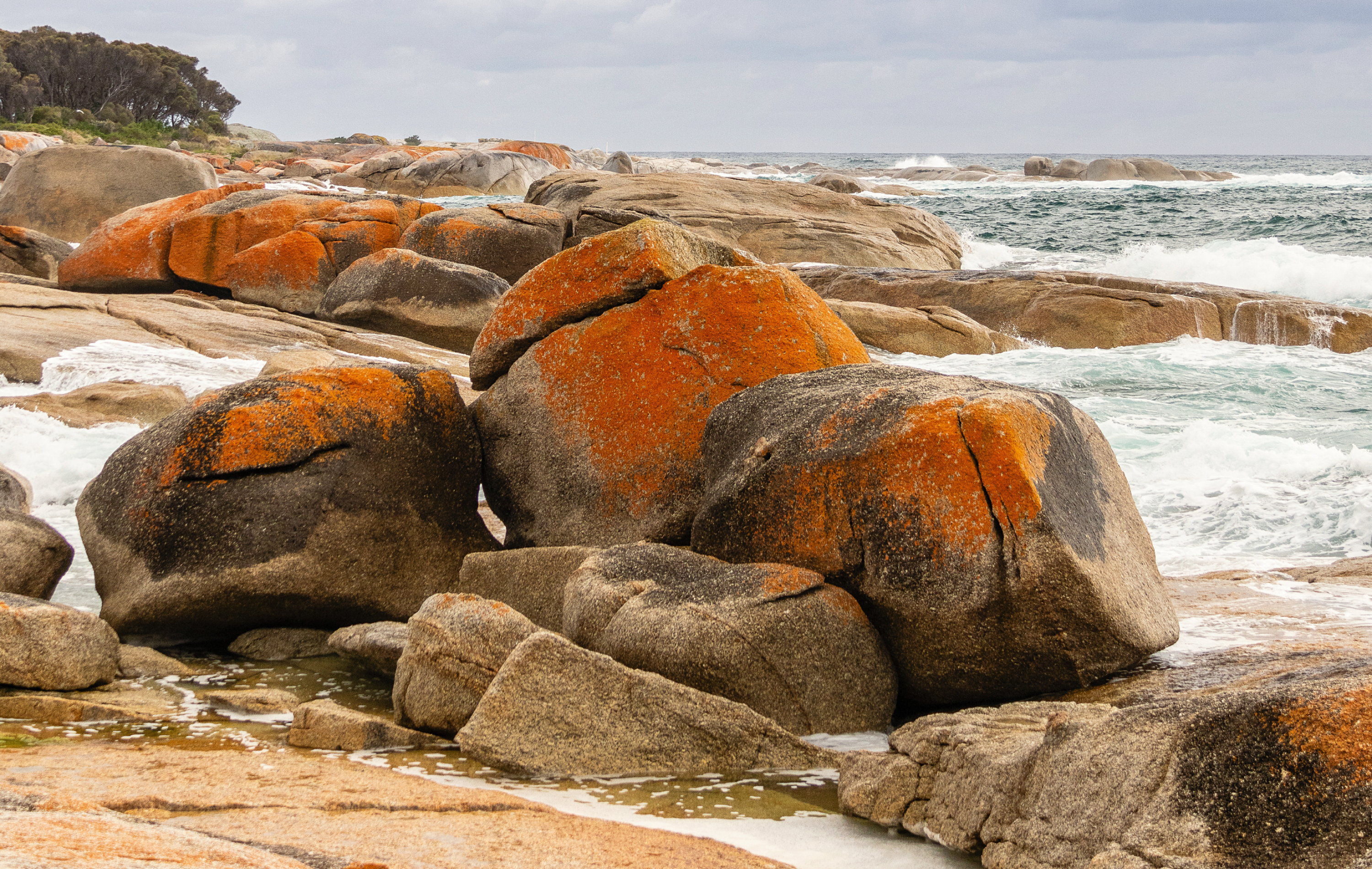 Orange lichen ignites dramatic boulders along the north-east coast.