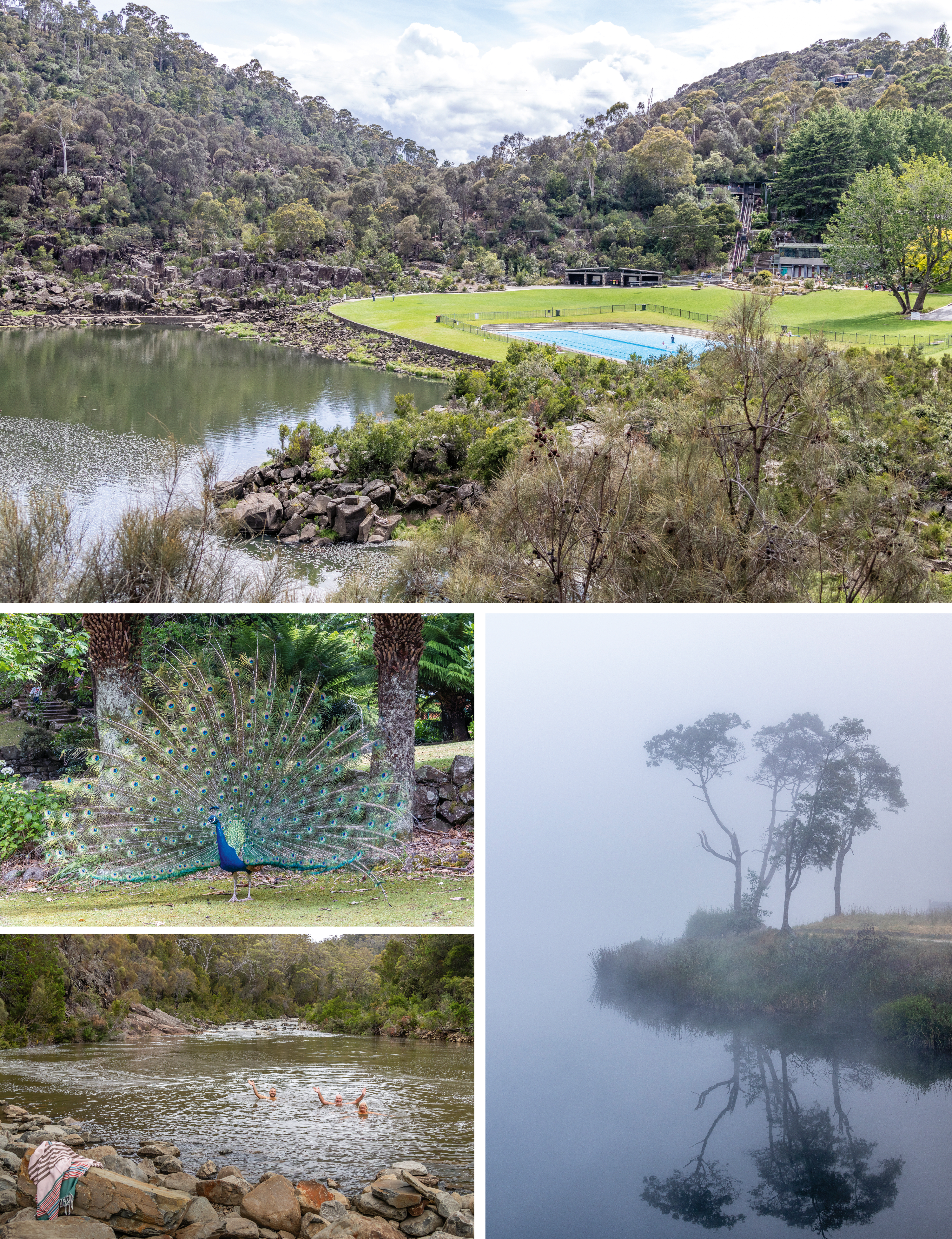  CLOCKWISE FROM TOP: Natural and constructed swimming options at Cataract Gorge, Launceston; Briseis Hole at Derby shrouded in early-morning fog; a refreshing dip in Apsley Waterhole near Bicheno; a peacock on parade at Cataract Gorge.