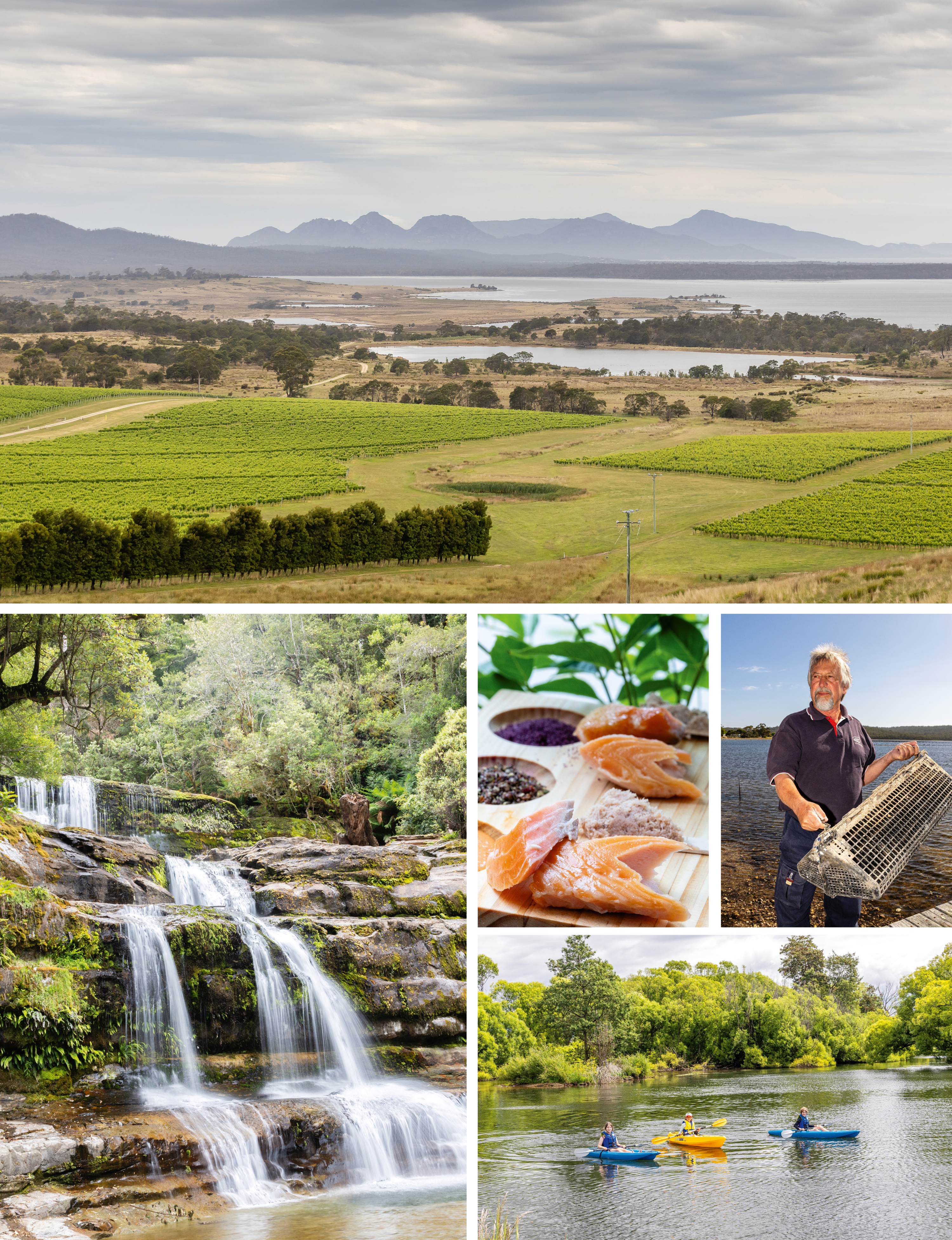  CLOCKWISE FROM TOP: Devil’s Corner vineyards overlook Oyster Bay; oyster farmer Craig Lockwood with a basket of spat; Stevie McMonagle, 10,  Lara Thomson, 10, and Ripley McMonagle, 11, paddle on the Meander River at Deloraine; Liffey Falls; tasting plate from 41° South Tasmania at Red Hills.