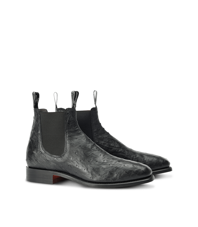 Rm williams crocodile boots hotsell