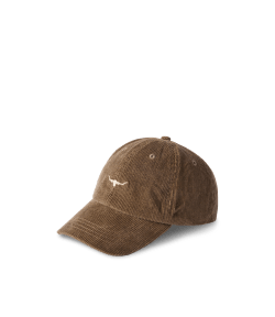 Mini longhorn cap