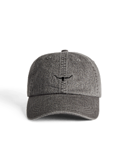 Mini Longhorn twill cap
