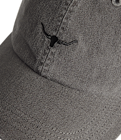 Mini Longhorn twill cap