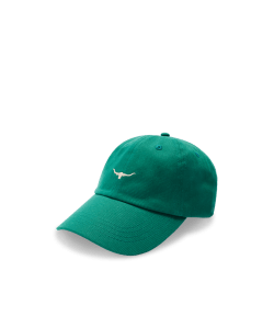 Mini longhorn cap
