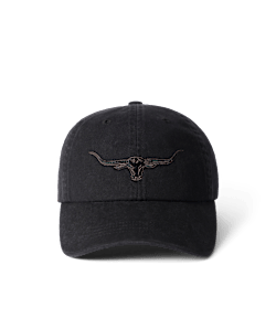 Longhorn twill cap