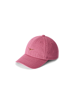 Mini longhorn twill cap