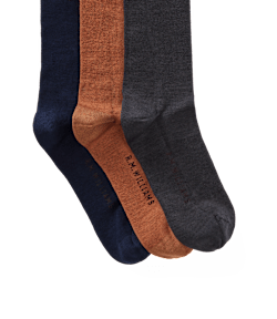 Longhorn sock 3 pack