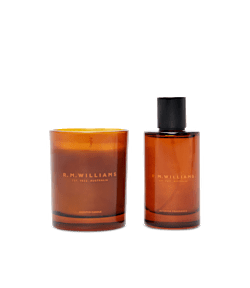 Scent 01 bundle