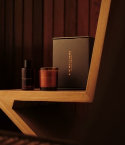 Scent 01 bundle