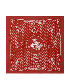 Cloudbuster bandana