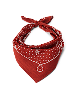 Cloudbuster bandana
