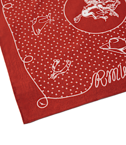 Cloudbuster bandana