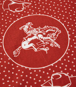 Cloudbuster bandana