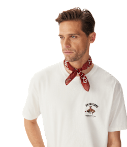 Cloudbuster bandana