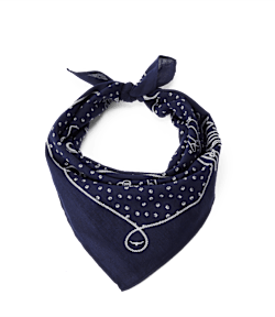Cloudbuster bandana