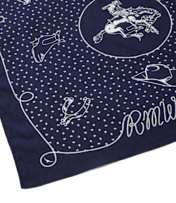 Cloudbuster bandana