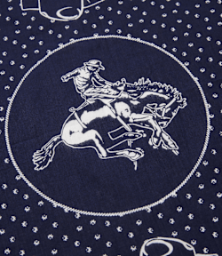 Cloudbuster bandana