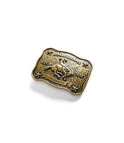 Cloudbuster trophy buckle