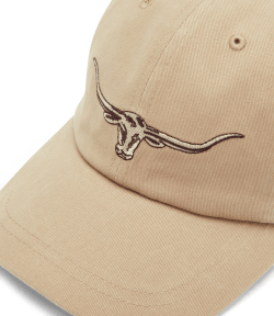 Steers head logo cap