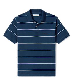 Albany stripe polo