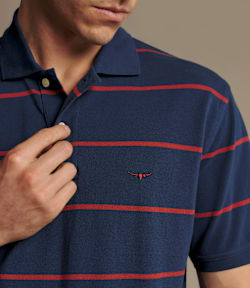 Ashfield stripe polo
