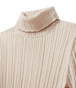 Bryant ribbed roll neck