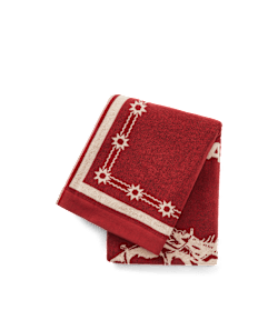 Cloudbuster towel
