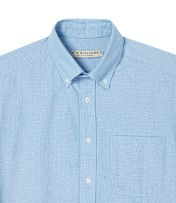Collins oxford shirt