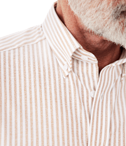 Collins button down shirt