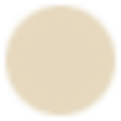 Field shirt 2 pocket, Bone, swatch