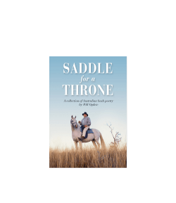 Saddle for a throne