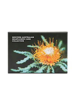 WA Wildflower Cards