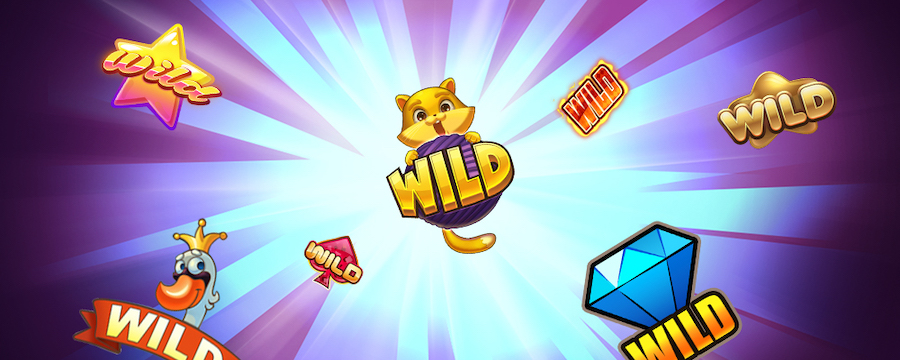 wild boonus