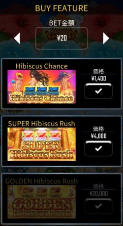 ハワイアンドリームゴールドのボーナス購入