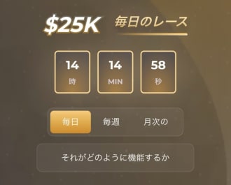 レインベットのレース