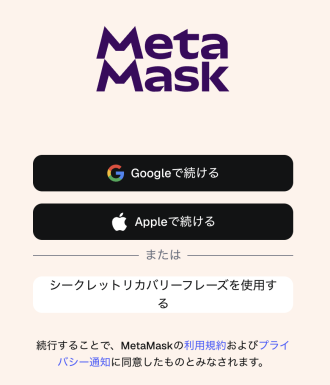 メタマスク登録手順2