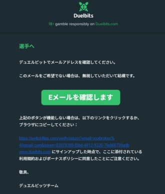 デュエルビッツメール確認