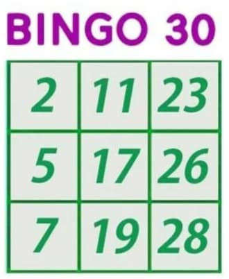 30ボールビンゴカード